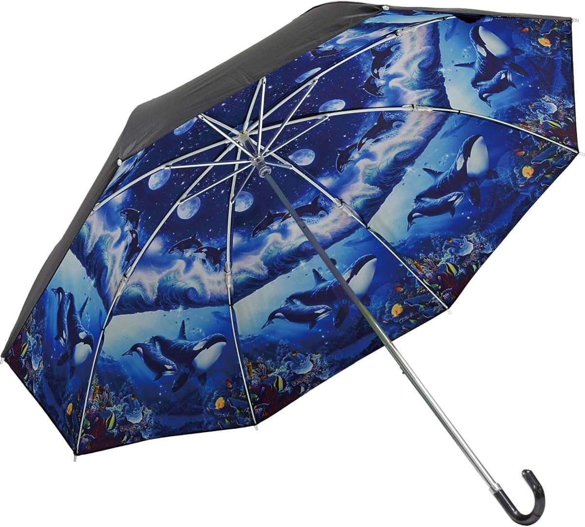 

YouPower Christian Riese Lassen Folding Suitable for Both Sunny and Rainy World Umbrella, Days, Blue 2