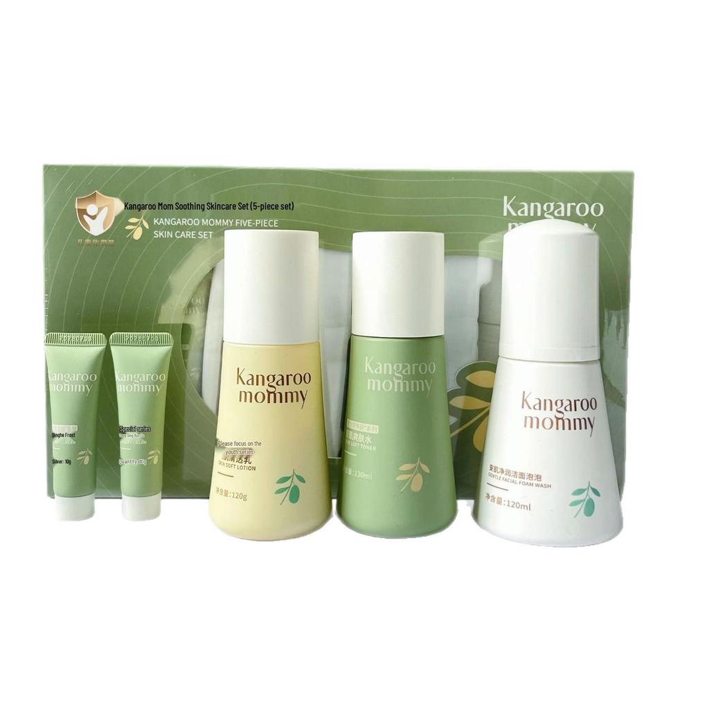 Teen Skincare Set: Cleanser, Toner, Lotion, Face Cream (5-Piece Set)