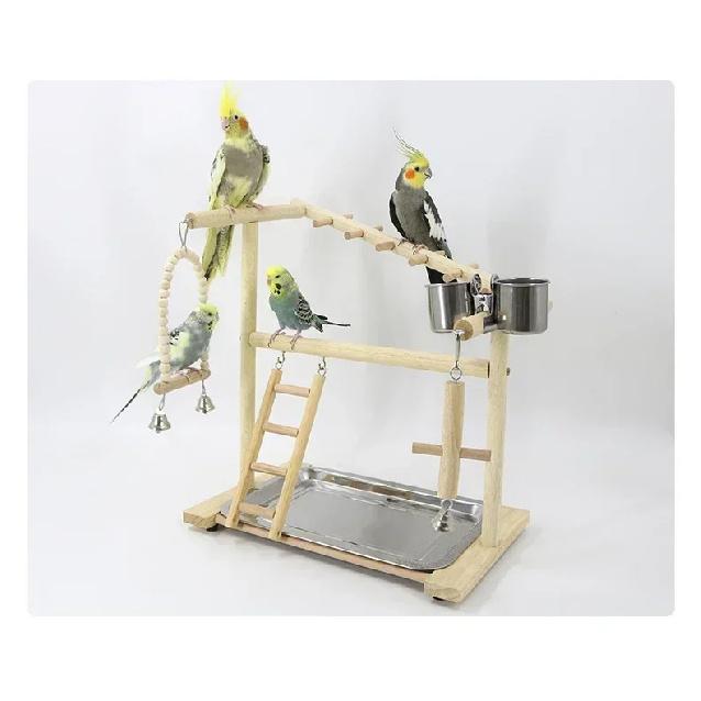 Wooden Bird Playstand Gym - Parrot Cockatiel Playground with Metal Feeder Perch Ladder Plate Interactive Bird Toy for Activity