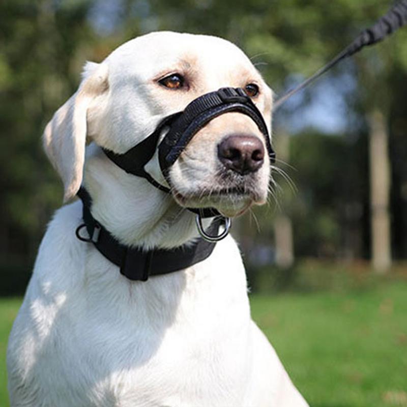 

Soft Muzzle Thickened Adjustable Dog Mouth Guard Large Dog Muzzle Anti Barking Muzzle For Dogs Pet Supplies Prevent Biting france