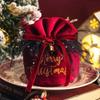 LINLIN Christmas Candy Bags, 2 Pcs Christmas Velvet Gift Bags Pouches with Drawstring Small Candy Bags for Christmas Party Snack Gift Ornaments