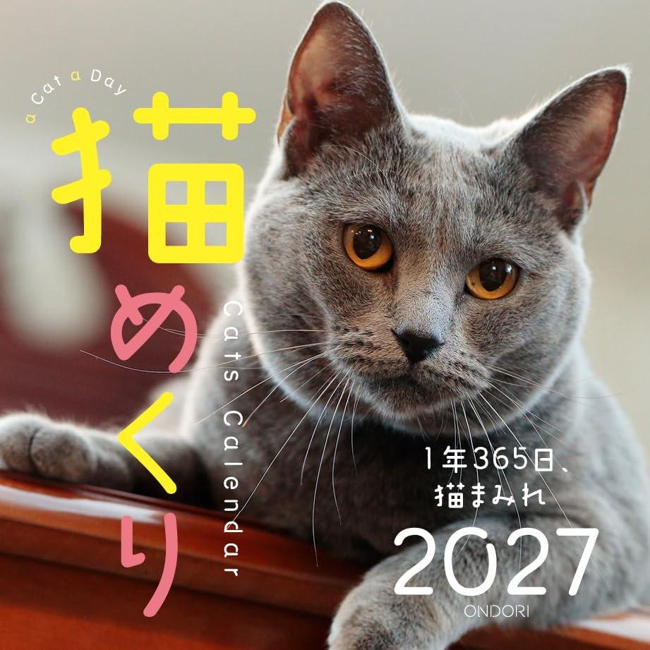 C-O-Two 2027 Kitten Desk Calendar Koneko Mekuri CK-C27-03 Made In Japan Daily Cute Cat Calendar and Memo Pad