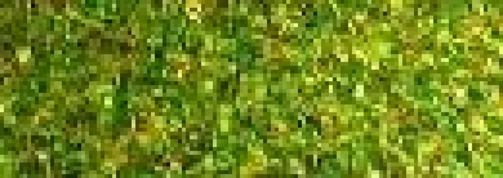 NEW Green Mat Autumn Green GM-3