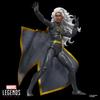 Marvel Legends Series Storm Action Figure X-Men