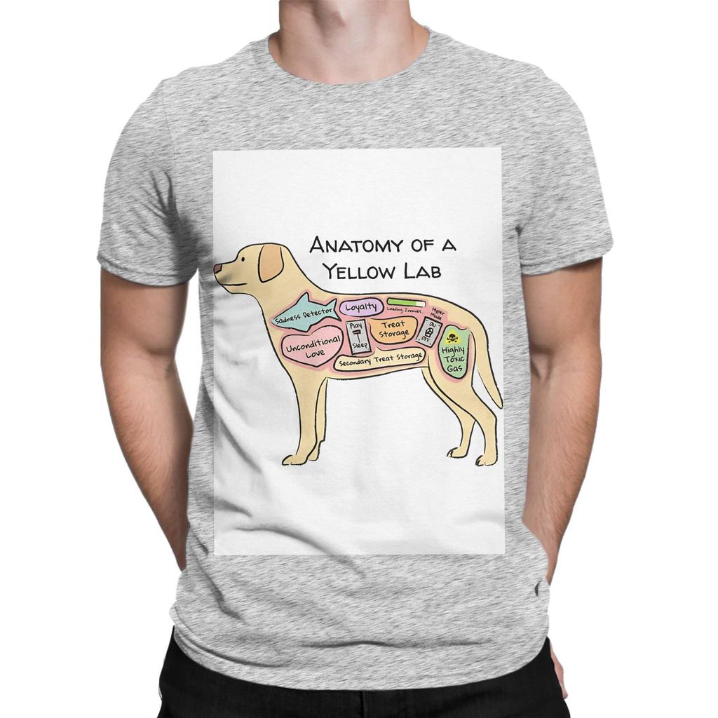 Anatomy of a Yellow Lab Labrador Retriever Graphic 100 Cotton TShirt Labrador Retriever Tees Tops For Unisex