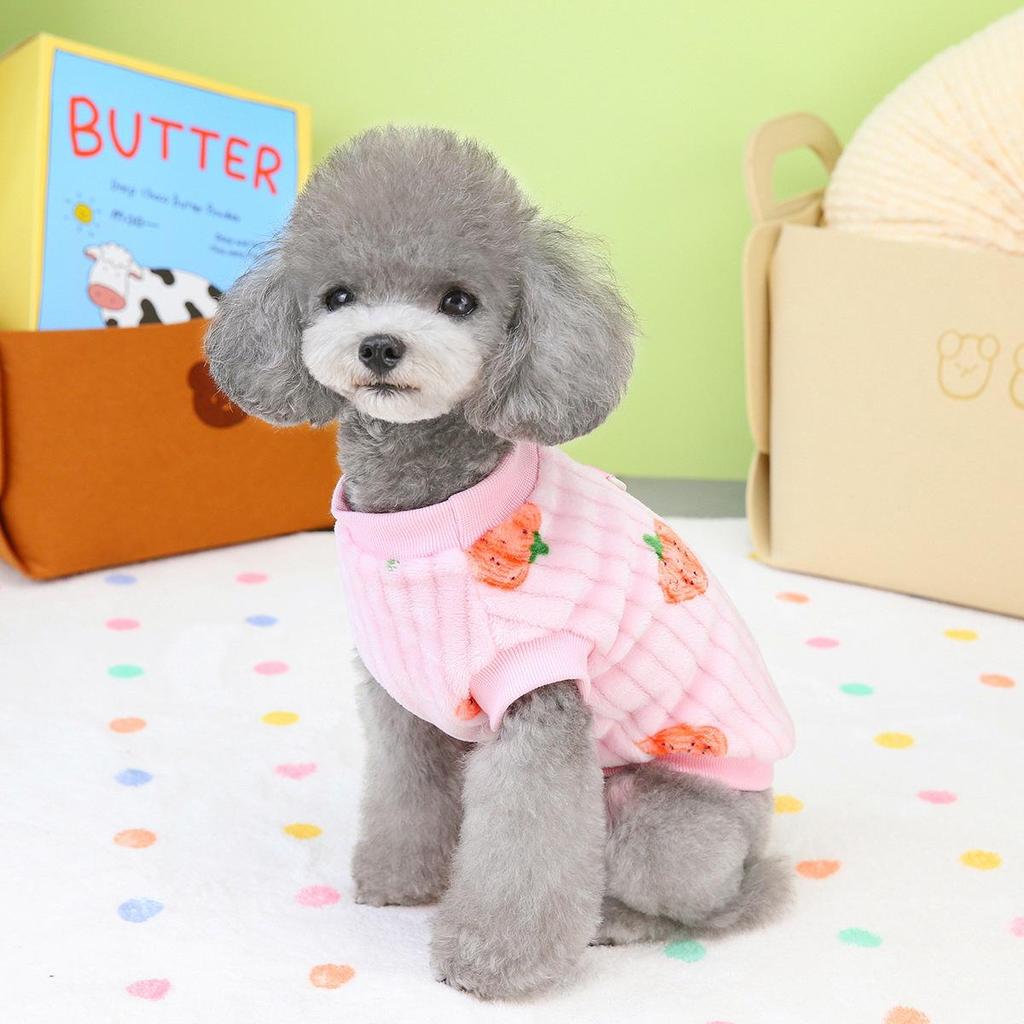 Cartoon Dog Clothes: Two-Legged Autumn & Winter Wear for Puppies, Bichon, Teddy