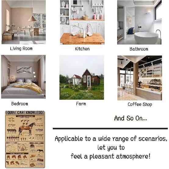 

FEBIOAW Ретро Знание Металлическая Табличка Винтажные Кухонные Знаки Настенный Декор Домашний Декор Знания по Уходу за Лошадьми Жестяные Таблички Украшения для Бара Художественный Постер 12x8 Дюймов