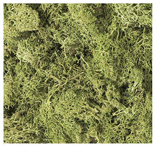 

KATO Diorama Supplies Природные материалы Растения Светло-зеленые Принадлежности для моделей железной дороги 24-332