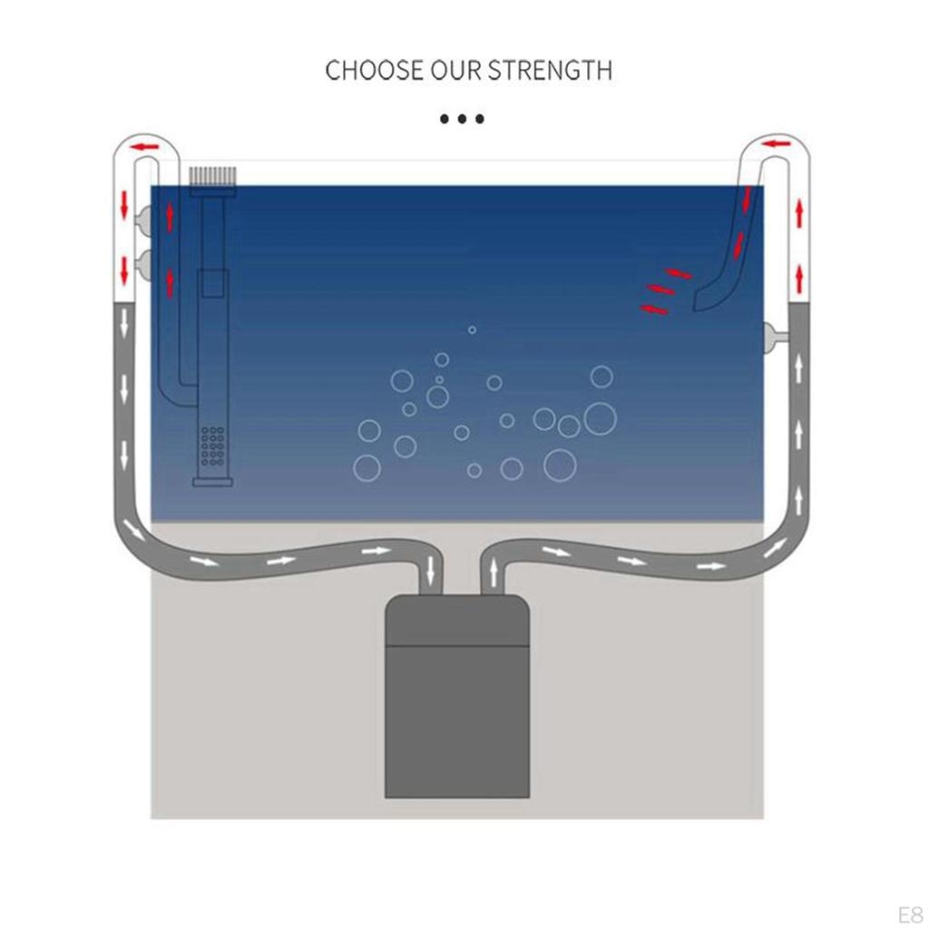 Lily In for Aquarium Planted Tank (12MM )