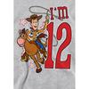 Toy Story Childrens/Kids IÂ´m 12 Woody Heather Birthday Pullover Hoodie