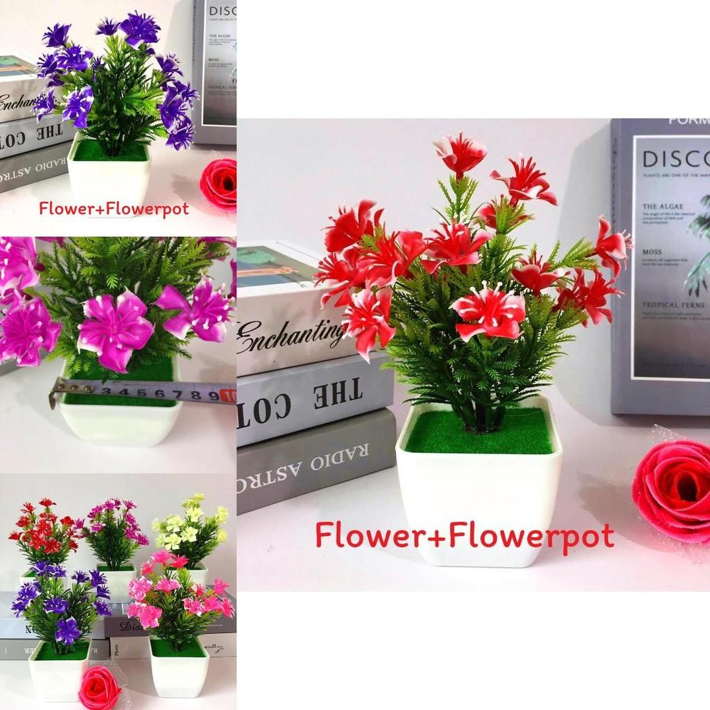 Camellia Sasanqua Miniature Artificial Plant Set With Flower And Pot For Home Decor And Gift