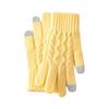Windproof Touch Screen Gloves Thickened Wool Gloves Fashion Winter Knitted Gloves  for Men Women