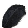 In Feathers Ostrich Multiple Colors Stage Simulation Performance Props Feathers