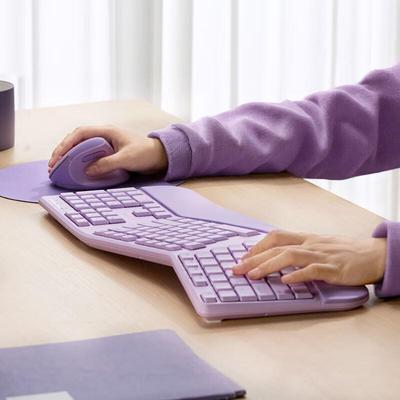 Periféricos para computadores – Ratos e teclados