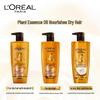 Shampoo Cura dei Capelli L'Oréal