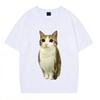Cat Owl Funny Meowl Meme Brainrot Graphic Tshirts Unisex Unisex Fashion Short Sleeves Tshirt Cotton Oversized T Shirts Streetwear