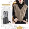 LrisIuza Echo Cable Knit Sweater Perfect for and Solid Loose Spring Office Korean Loungewear Women's Vest, Spring, Autumn, Winter. V-Neck, Color,