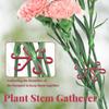 Stem Support Alocasia Monstera Leaf Supports 4Pcs Vine Support Clips For Climbing Plants To Grow Upright And Make Healthier