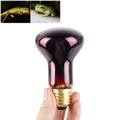60W Infrarot-Wärmelampe, Rotlicht-Glas-Wärmelampe für Eidechsen, Reptilien und Amphibien