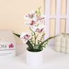 5 Plantas Simuladas de Phalaenopsis en Maceta para Decoración de Hogar y Oficina Plantas Pequeñas en Maceta Falso Bonsái Plantas Verdes