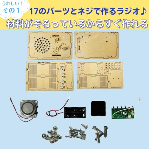 Apricity 3D Wooden Puzzle for Adults (Radio)