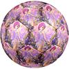 Winx Club Theme Size 5 Soccer Ball, Suitable for Both Indoor and Outdoor Matches, a Gift Suitable for Everyone.
