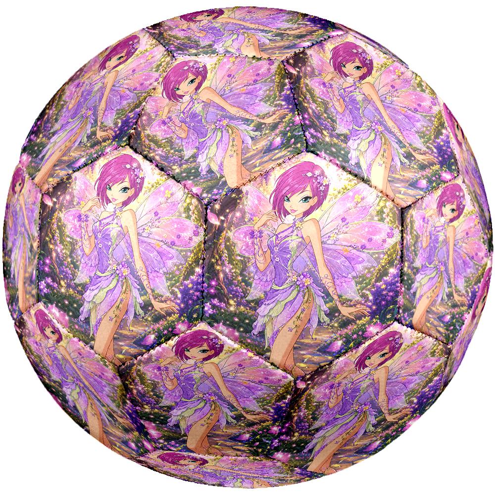 Winx Club Theme Size 5 Soccer Ball, Suitable for Both Indoor and Outdoor Matches, a Gift Suitable for Everyone.