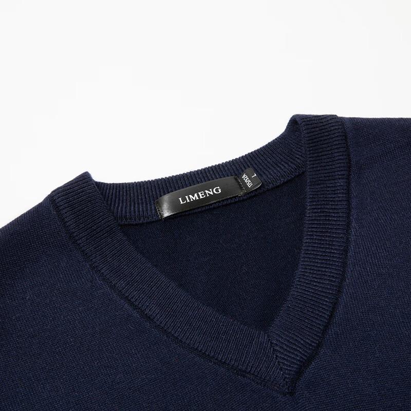 Men's V-Neck Sleeveless Sweater Vest