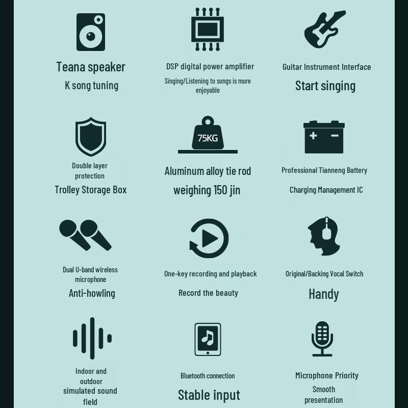 SANSUI E15 Portable KTV Bluetooth Speaker CN plug (adapter included)