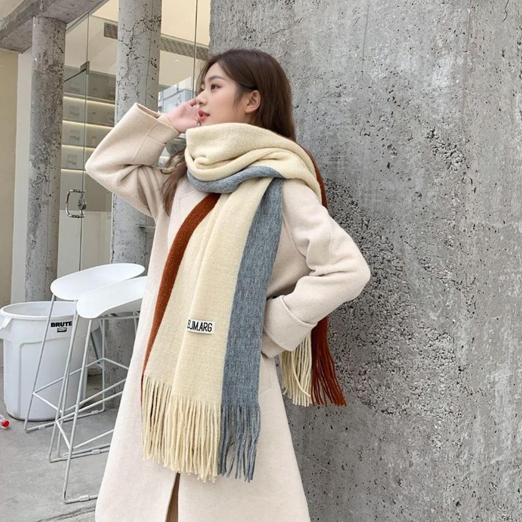 Korean Style Thick Color Block Knitted Scarf for Women, Classic Versatile Imitation Cashmere Winter Shawl