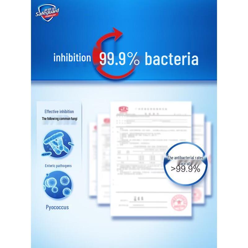 Safeguard Foaming Antibacterial Hand Wash Set