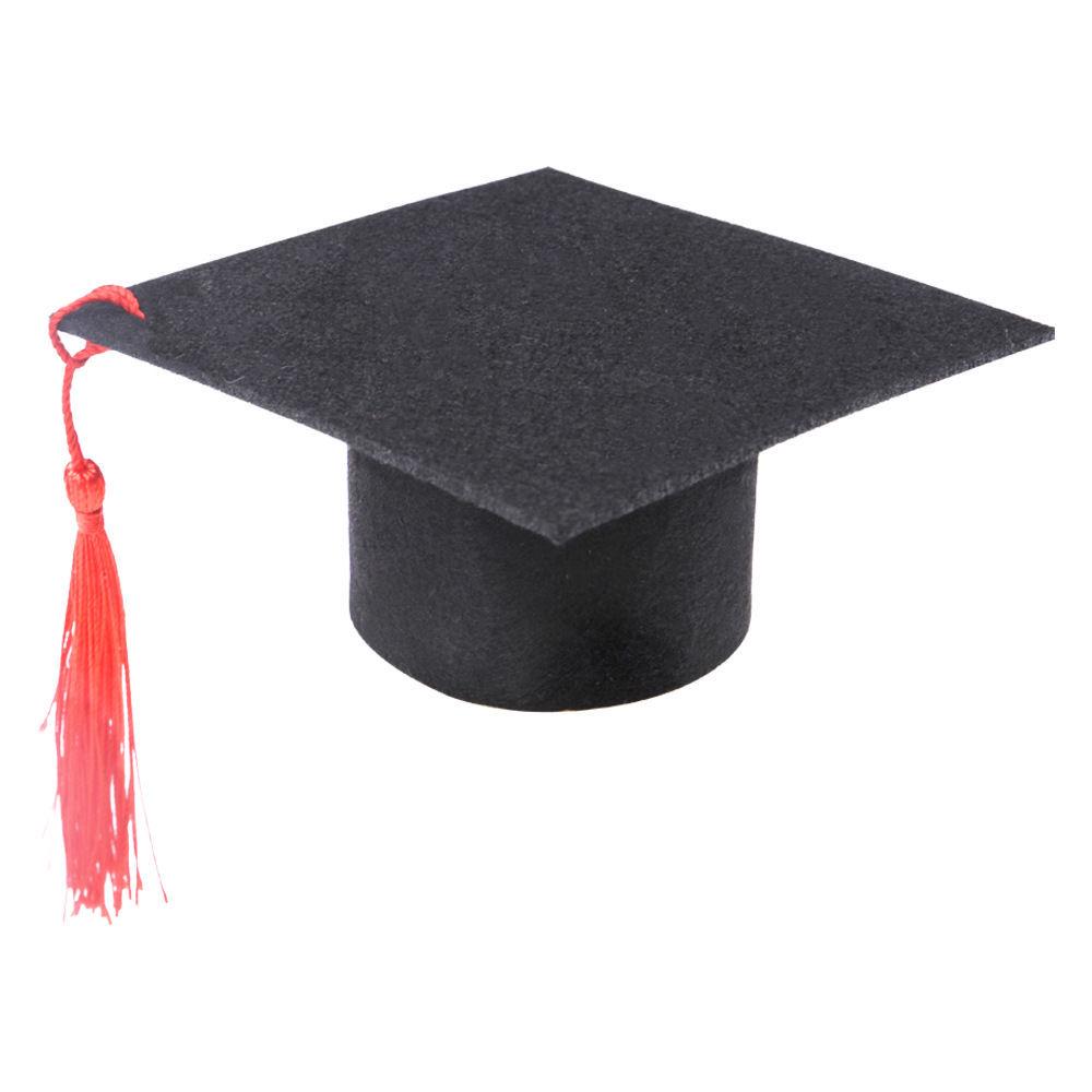 Cappello di Laurea per Piccoli Animali Domestici - Nero