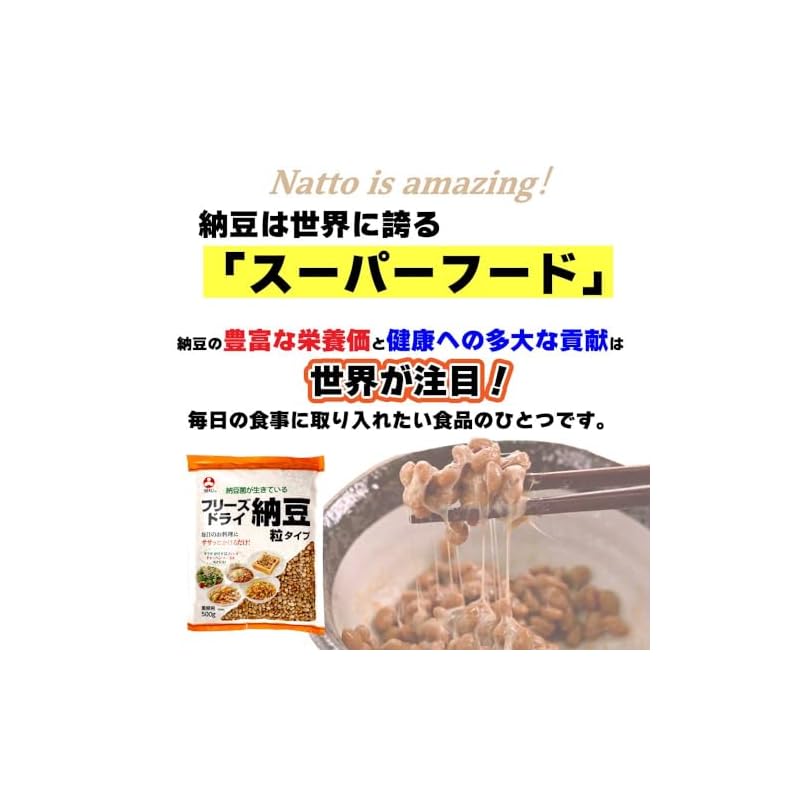 Asahimatsu Foods Freeze-Dried Small-Grain Natto (Fermentary Pack) 500g X 1 (Bag)