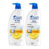 Head & Shoulders Anti-Dandruff Oil Control Shampoo (2x1kg)