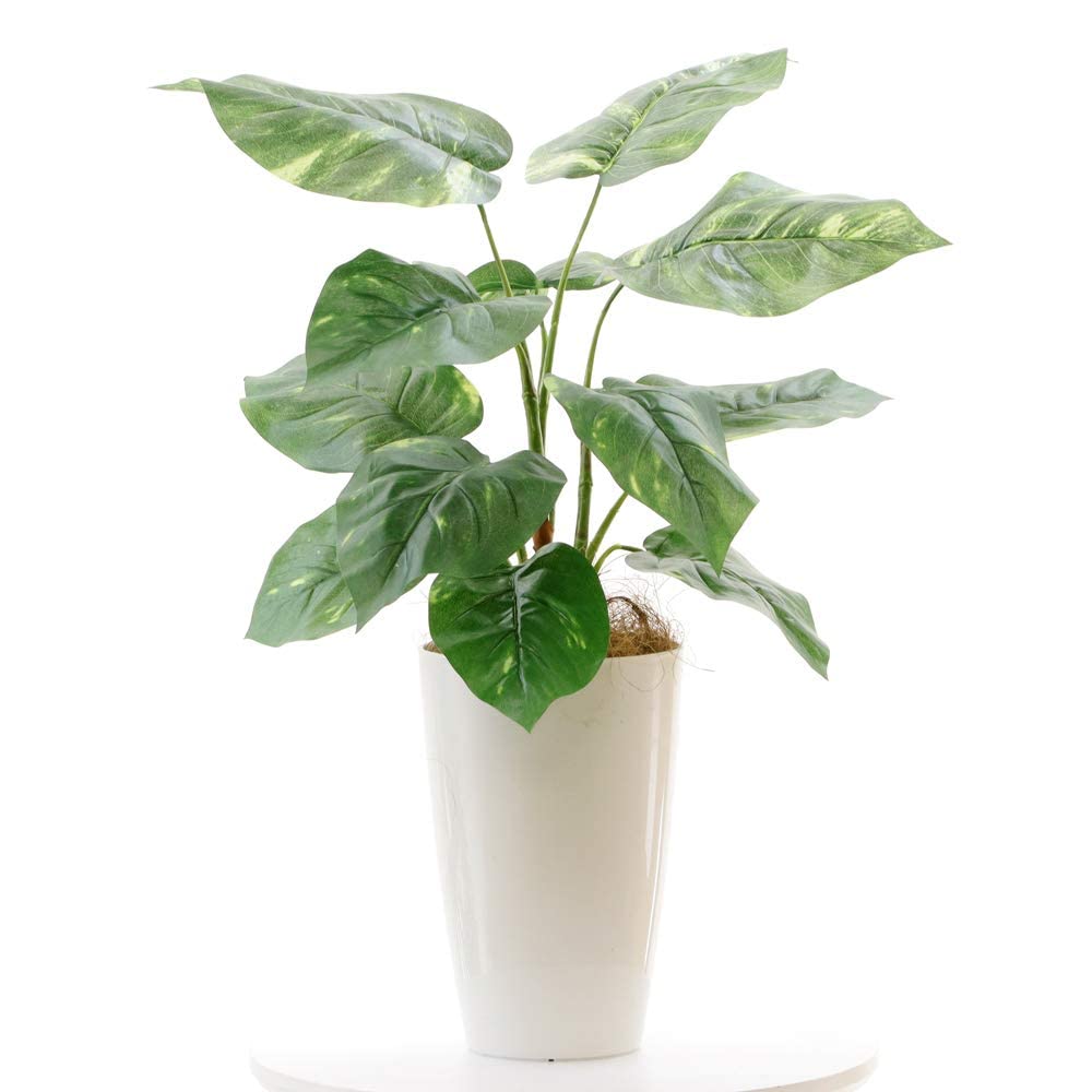 

Поддельный искусственный искусственный лиственный покров 12 высота ширина глубина круглый горшок и пальмовое волокно не могут быть живыми 93691 зеленый, фотокатализатор, цветы, растения, зелёный