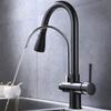 G1Celsius2 Modern 3 In 1 Filter Purifier Kitchen Faucet Double Handle PullOut Sink Hot Cold Water Tap(Electroplated )