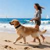 Collar For Dogs Wide Pet Traction Supplies With Leashes Wide Collar For Dogs For Walking Exercise Obedience Training Camping