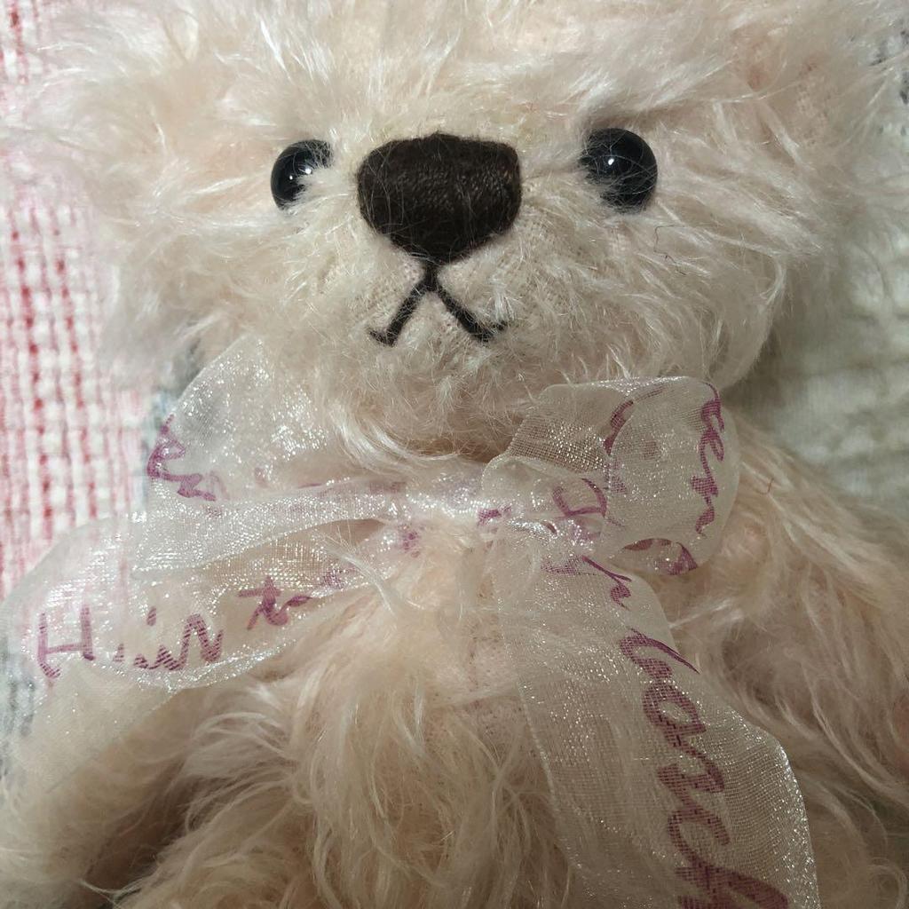 [USED] Heisei Retro 1992 Huis Ten Bosch Teddy Bear, Limited Edition, Used