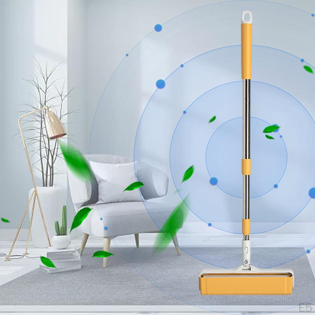 Handle Assembly Dust and Hair Pet Remover Cleaner Roller with Long