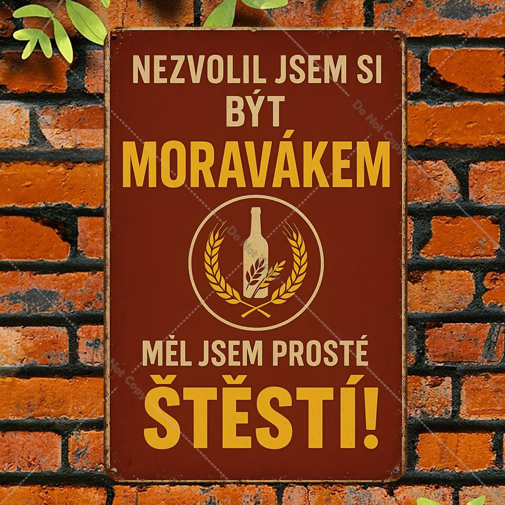 An X Inch Aluminum Sign for The Kitchen Showcasing a Vintage Design of a Woman with a Cooking Pot And The Phrase DonT Ma