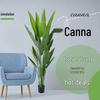 Decorațiuni pentru casă – Flori decorative şi coroane de flori