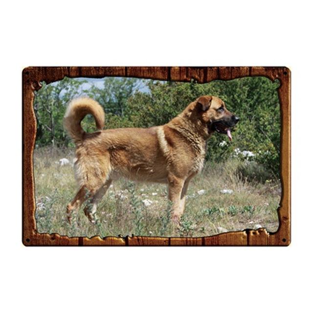 Dog Rules Bulldog Boxer Beagle Great Dane Metal Signs Lovely Tin Poster Home Decor Pub Bar Garden Wall Art Iron Tin Painting