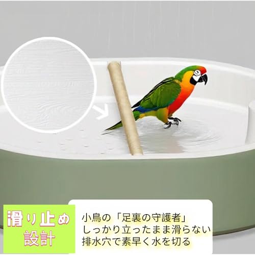 Automatic Bird Bath Shower for Parakeets, Finches, and Other Birds. Features include automatic showering, water play, and a USB power supply for water