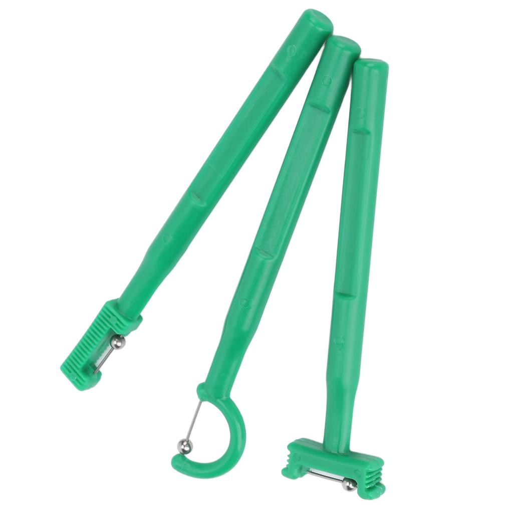 3 Stück Zungenspitzen Übungsset Verschiedene Formen Verbessern Flexibilität Mundmuskelkraft Zungentrainingswerkzeuge