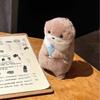 11CMCarini Lontre Che Tengono Pesci Bambola Peluche Portachiavi Leggero Ciondolo Appeso Oggetti di Scena Per Zaino Scolastico Portachiavi Portafoglio Bambola Giocattolo Regali