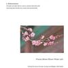 Beauty of Joseon Aprikosenblüten-Peeling-Gel