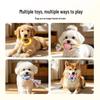 COODORA Dog Chew Toy Set