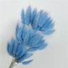 Yunnan Dried Flowers Bouquet - Rabbit Tail Grass