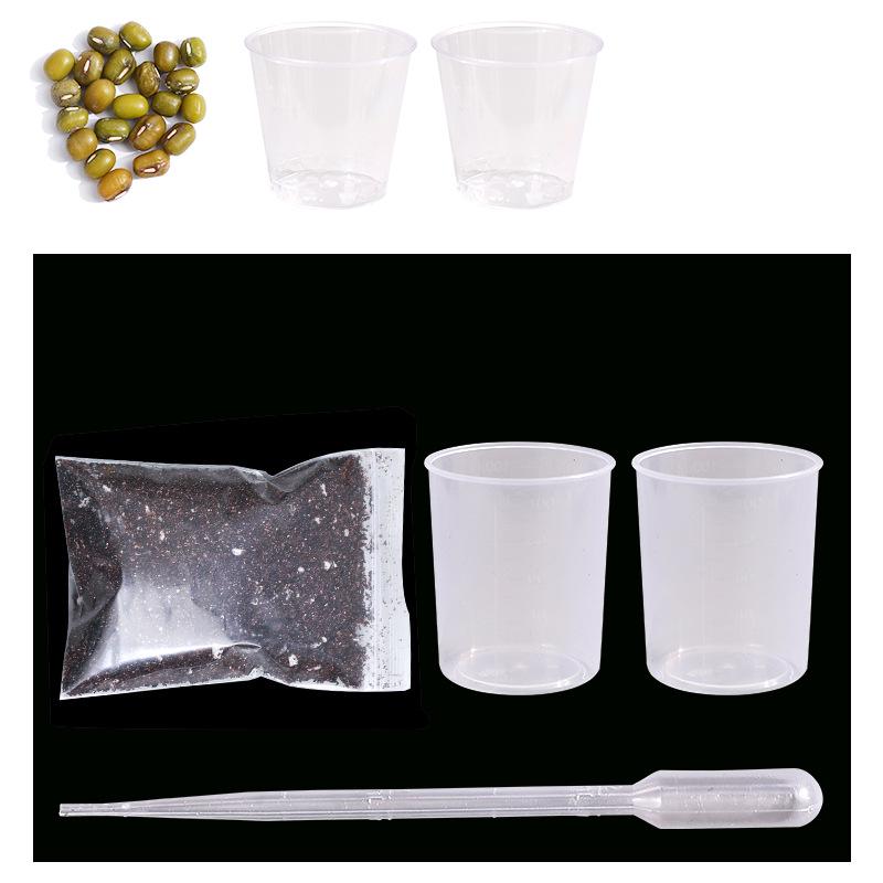 5th Grade Semester 2 Science Experiment Kit: Seed Germination Edition