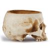 1pc,Resin Skull Planter Flower Succulents Pot Cactus Planter Pots Holder Halloween For Home Office (Plants Not Include)